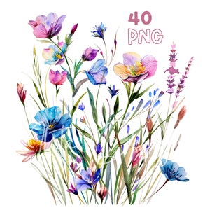 Wildflowers Mix Clipart - 40 PNG de haute qualité - Planificateur numérique, Junk Journaling, Aquarelle, Art mural, Utilisation commerciale, Téléchargement numérique