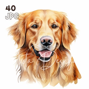 ゴールデン レトリバーのクリップアート - 40 枚の高品質 JPG - デジタル プランナー、ジャンク ジャーナリング、水彩画、ウォール アート、商用利用、デジタル ダウンロード