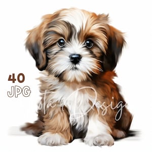 シーズーの子犬のクリップアート - 40 枚の高品質 JPG - デジタル プランナー、ジャンク ジャーナリング、水彩画、ウォール アート、商用利用、デジタル ダウンロード