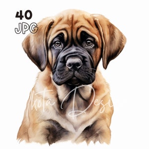 イングリッシュ マスティフの子犬のクリップアート - 40 枚の高品質 JPG - デジタル プランナー、ジャンク ジャーナリング、水彩画、ウォール アート、商用利用、マグカップ、アパレル