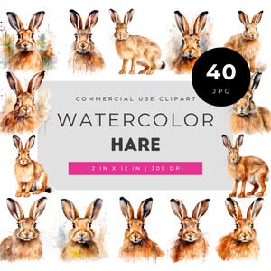 Watercolor Hare Clipart Set with Realistic Brown Hares, Hand Painted Rabbit Illustrations, Woodland Animal Art Collection