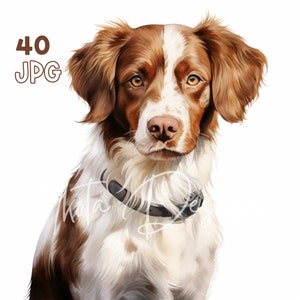Brittany Dog Clipart - 40 High Quality JPGs - Digital Planner, Junk Journaling, Watercolor, Wall Art, Commercial Use, Digital Download, Mugs