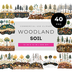 Woodland soil landscape clipart set, forest ground layers illustrations, botanical nature scene png bundle for junk journals and crafting