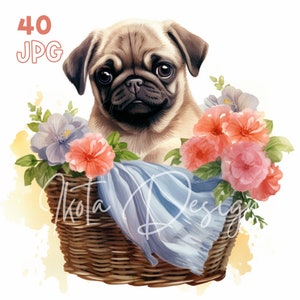 花かごに入ったパグのクリップアート - 40 高品質 JPG - デジタル プランナー、ジャンク ジャーナリング、水彩画、ウォール アート、商用利用、デジタル、マグカップ