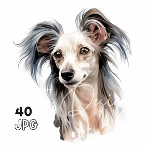 Clipart cane crestato cinese - 40 JPG di alta qualità - Pianificatore digitale, Junk Journaling, Acquerello, Arte della parete, Uso commerciale, Download digitale