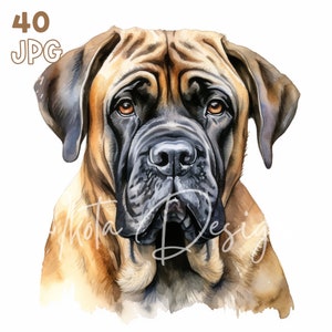 Engelse Mastiff Clipart - 40 hoge kwaliteit JPG's - Digitale Planner, Junk Journaling, Aquarel, Muurkunst, Commercieel Gebruik, Digitale Download