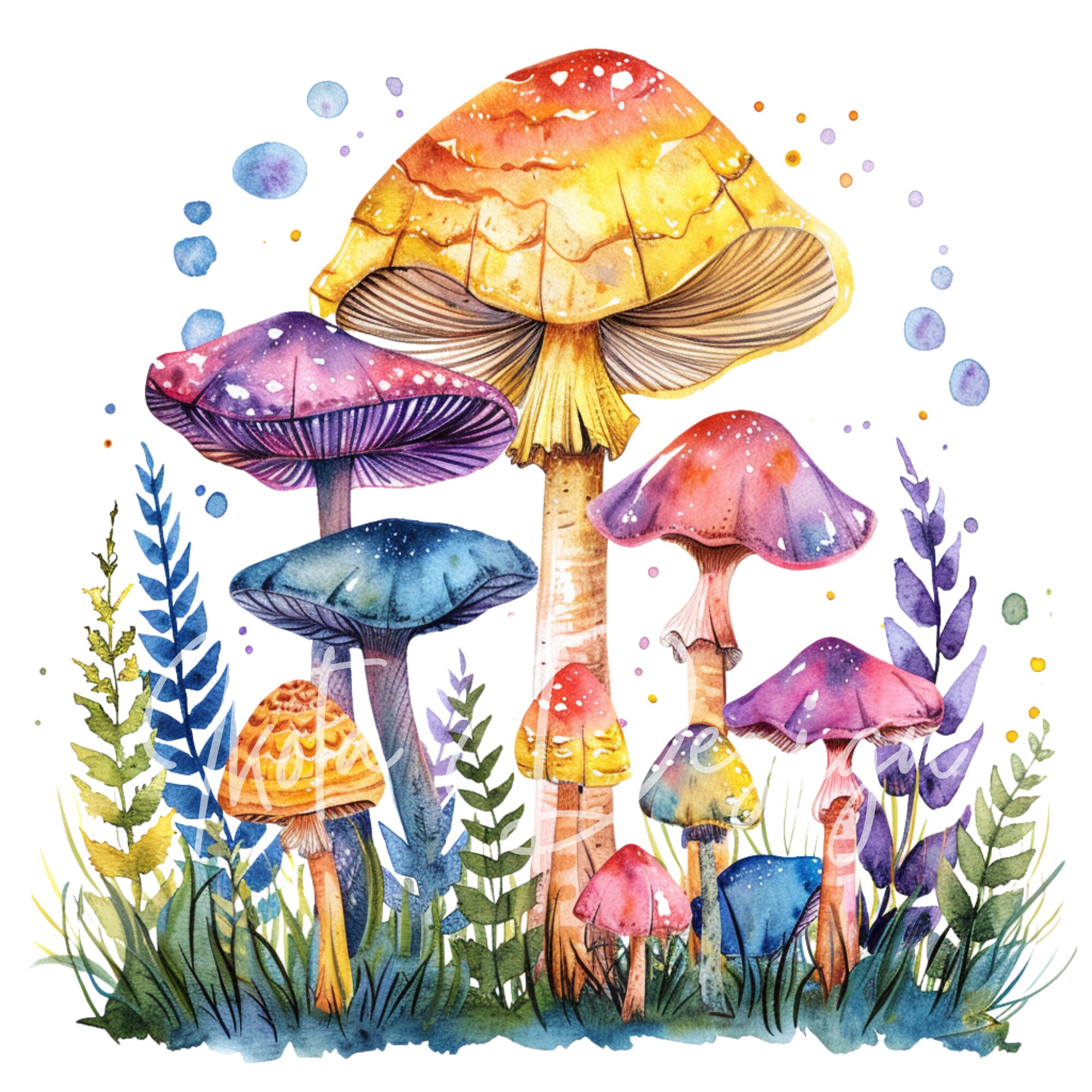 水彩キノコとシダのクリップアートセット、カラフルな森の菌類PNG