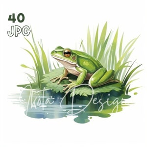 Kikker Clipart - 40 hoge kwaliteit JPG's - Digitale Planner, Junk Journaling, Aquarel, Commercieel Gebruik, Digitale Download, Mokken, Kleding