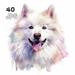 Samoyed Dog Clipart - 40 High Quality JPGs - Digital Planner, Junk Journaling, Watercolor, Wall Art, Commercial Use, Digital Download, Mugs