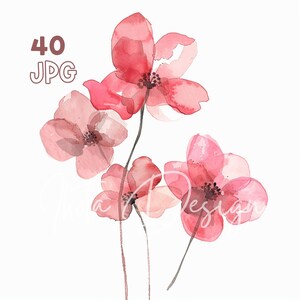Roze bloemen clipart - 40 hoge kwaliteit JPG's - digitale planner, junk journaling, aquarel, commercieel gebruik, digitale download, mokken, kleding