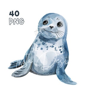 Sea Animals Clipart - 40 High Quality PNGs - Digital Planner, Junk Journaling, Watercolor, Wall Art, Commercial Use, Digital Download, Mugs