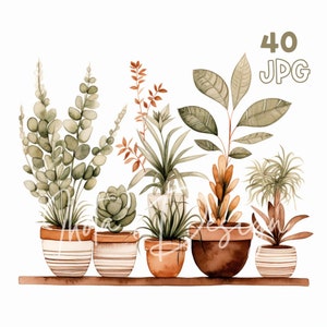 Potted Plants Clipart - 40 High Quality JPG - Digital Planner, Junk Journaling, Watercolor, Wall Art, Commercial Use, Digital Download, Mugs