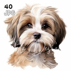 ラサ アプソの子犬クリップアート - 40 高品質 JPG - デジタル プランナー、ジャンク ジャーナリング、水彩画、ウォール アート、商用利用、デジタル ダウンロード