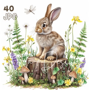 Bunny on a Tree Stump Clipart - 40 High Quality JPGs - Digital Planner, Junk Journaling, Watercolor, Wall Art, Commercial Use, Mugs, Apparel
