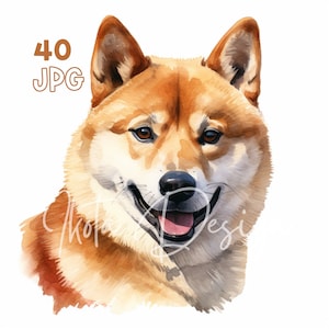 柴犬クリップアート - 40 枚の高品質 JPG - デジタル プランナー、ジャンク ジャーナリング、水彩画、ウォール アート、商用利用、デジタル ダウンロード、マグカップ
