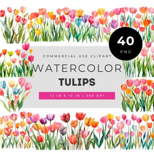 Watercolor tulips clipart bundle with bright spring floral borders and garden flowers for invitations scrapbooking crafts and DIY projects