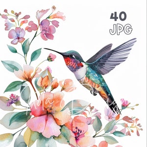 Kolibrie & bloemen clipart - 40 hoge kwaliteit JPG's - digitale planner, junk journaling, aquarel, commercieel gebruik, digitale download, mokken