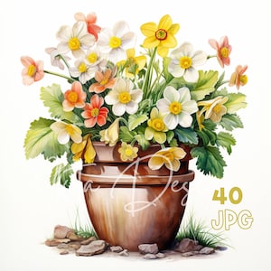 花のポットのクリップアート - 40 枚の高品質 JPG - デジタル プランナー、ジャンク ジャーナリング、水彩画、ウォール アート、商用利用、デジタル ダウンロード