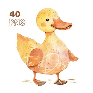 Clipart animali da fattoria - 40 PNG di alta qualità - Pianificatore digitale, Junk Journaling, Acquerello, Uso commerciale, Download digitale, Tazze, Asilo nido