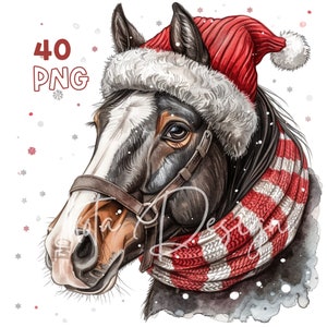 Winter Horse Head Clipart - 40 PNG de haute qualité - Planificateur numérique, Junk Journaling, Aquarelle, Art mural, Utilisation commerciale, Tasses, Décoration intérieure