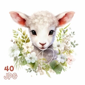 Cute lamb & Flowers Clipart - 40 High Quality JPGs - Digital Planner, Junk Journaling, Watercolor, Wall Art, Commercial Use, Mugs, Apparel