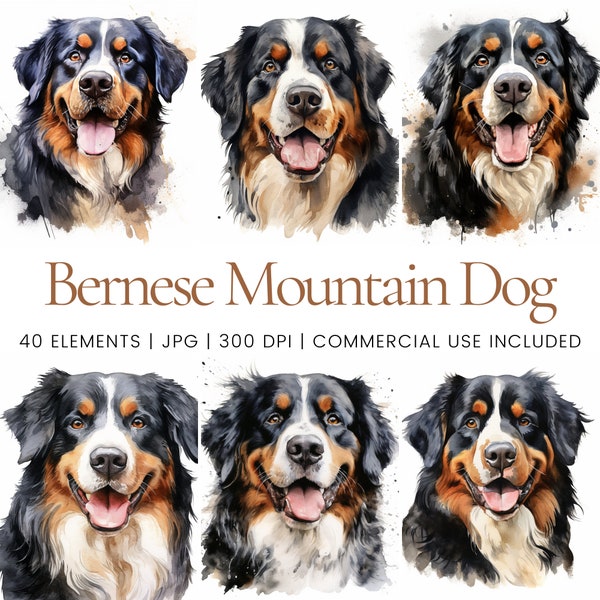 Bernese Mountain Dog Clipart - 40 High Quality JPGs - Digital Planner, Junk Journaling, Watercolor, Wall Art, Commercial Use, Digital, Mugs