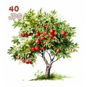 Apple Tree Clipart - 40 JPG di alta qualità - Pianificatore digitale, Junk Journaling, Acquerello, Uso commerciale, Download digitale, Abbigliamento, Tazze