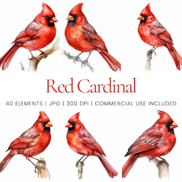 Red Cardinal Clipart - 40 High Quality JPGs - Digital Planner, Junk Journaling, Watercolor, Wall Art, Commercial Use, Digital Download, Mugs