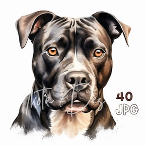 Staffordshire Bull Terrier Clipart - 40 hoge kwaliteit JPG's - Digitale Planner, Junk Journaling, Aquarel, Commercieel Gebruik, Digitale Download