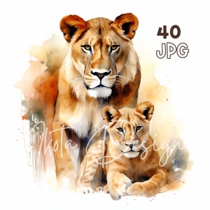 Löwin & Jungtier Clipart - 40 hochwertige JPGs - Digitaler Planer, Junk Journaling, Aquarell, kommerzielle Nutzung, digitaler Download, Tassen, Bekleidung