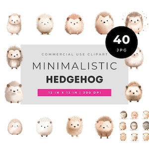 Minimalistic Hedgehog Clipart Set with Cute Baby Hedgehogs, Soft Neutral Woodland Animal Illustrations in Simple Cozy Nursery Style