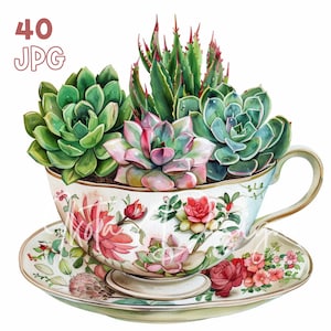 Succulents in a vintage teacup - 40 High Quality JPG - Digital Planner, Junk Journaling, Watercolor, Commercial Use, Digital Download, Plant