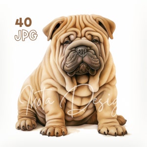 Shar Pei puppy watercolor clipart bundle, cute wrinkled dog digital art for junk journals, printable pet planner stickers, mug design set