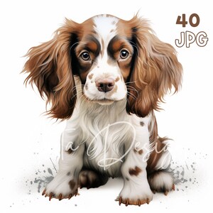 スパニエルの子犬のクリップアート - 40 高品質 JPG - デジタル プランナー、ジャンク ジャーナリング、水彩画、ウォール アート、商用利用、デジタル ダウンロード、マグカップ