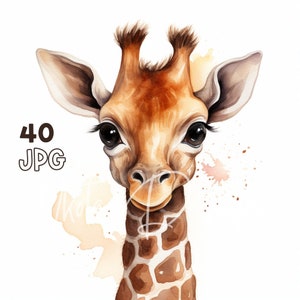 かわいいキリンのクリップアート - 40 枚の高品質 JPG - デジタル プランナー、ジャンク ジャーナリング、水彩画、ウォール アート、商用利用、デジタル ダウンロード、マグカップ