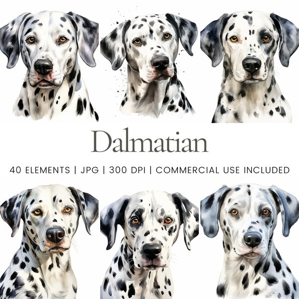 Dalmatian Clipart - 40 High Quality JPGs - Digital Planner, Junk Journaling, Watercolor, Wall Art, Commercial Use, Digital Download, Mugs