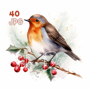 Christmas Robin Clipart - 40 High Quality JPG - Digital Planner, Junk Journaling, Watercolor, Commercial Use, Digital Download, Apparel, Mug