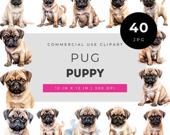 Pug Puppy Illustration Set with 40 Unique Pug Faces and Poses Realistic Puppy Artwork Collection Focused on Pug Breed Variety