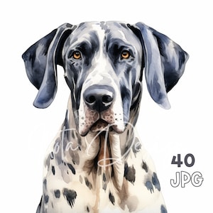 Great Dane Clipart - 40 High Quality JPGs - Digital Planner, Junk Journaling, Watercolor, Wall Art, Commercial Use, Digital Download, Mugs