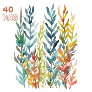 Watercolor Seaweeds Clipart - 40 High Quality PNG - Digital Planner, Junk Journaling, Watercolor, Wall Art, Commercial Use, Digital Download
