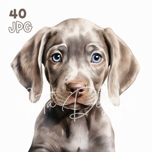 ワイマラナー子犬のクリップアート - 40 枚の高品質 JPG - デジタル プランナー、ジャンク ジャーナリング、水彩、商用利用、デジタル ダウンロード、マグカップ