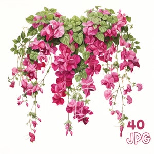 Bougainvillea Clipart - 40 hoge kwaliteit JPG - Digitale Planner, Junk Journaling, Aquarel, Muurkunst, Commercieel Gebruik, Digitale Download, Mokken