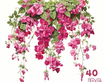 Bougainvillea Clipart - 40 High Quality JPG - Digital Planner, Junk Journaling, Watercolor, Wall Art, Commercial Use, Digital Download, Mugs
