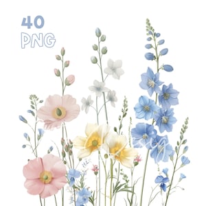 Delphiniums Gänseblümchen Clipart - 40 hochwertige PNG - Digitaler Planer, Junk Journaling, Aquarell, Wandkunst, kommerzielle Nutzung, digitaler Download