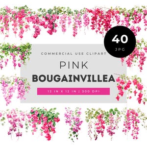 Pacchetto di clipart di bouganville rosa acquerello con rami floreali a cascata per inviti, scrapbooking, artigianato artistico da parete e progetti fai da te