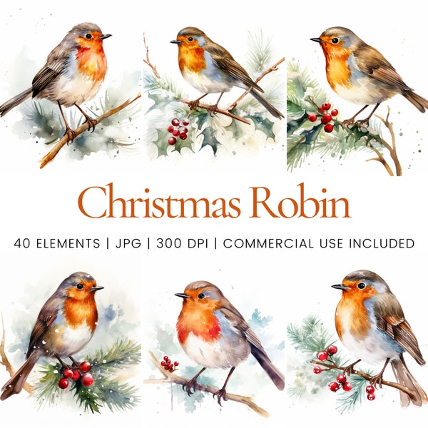 Christmas Robin Clipart - 40 High Quality JPG - Digital Planner, Junk Journaling, Watercolor, Commercial Use, Digital Download, Apparel, Mug