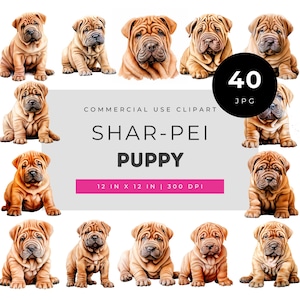 Shar Pei puppy watercolor clipart bundle, cute wrinkled dog digital art for junk journals, printable pet planner stickers, mug design set