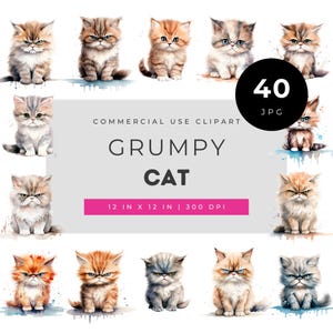 Clipart-Bundle „Grumpy Cat“, Aquarell-Illustrationen eines wütenden Kätzchens, JPG-Paket „Niedliche, launische Katze“ zur kommerziellen Nutzung