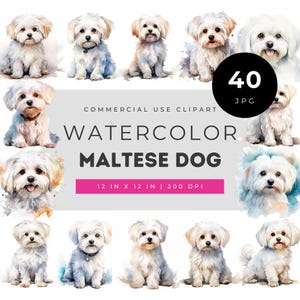 Watercolor Maltese Dog Clipart JPG Bundle, White Fluffy Puppy Pet Portrait Graphics for Sublimation, Nursery Decor & DIY Projects