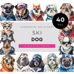 Illustrationssammlung „Skihunde“ mit 40 winterlich gekleideten Hunden in Skibrillen, Jacken und Mützen im verspielten Winterlook